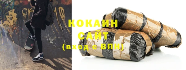 индика Абаза