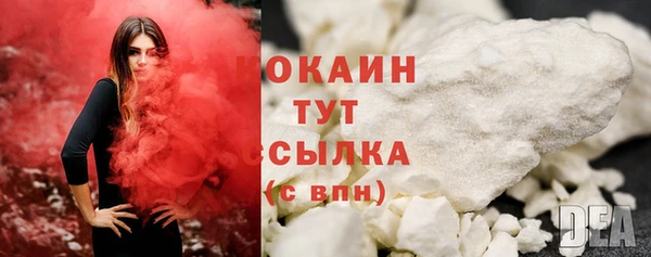 индика Абаза
