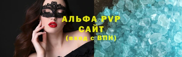 индика Абаза