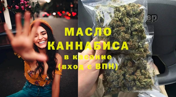 индика Абаза