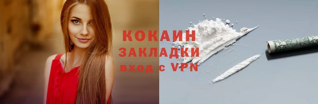 крисы Болотное