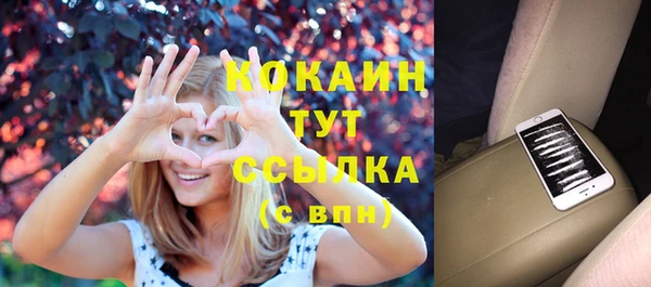 индика Абаза