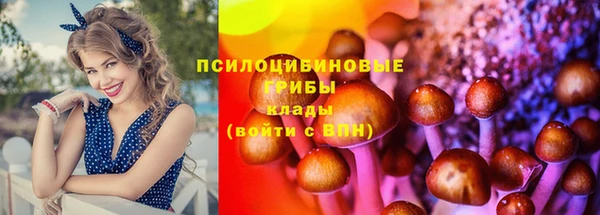 Альфа ПВП Абинск