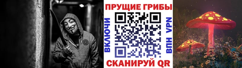 Псилоцибиновые грибы Psilocybine cubensis наркота Шахунья